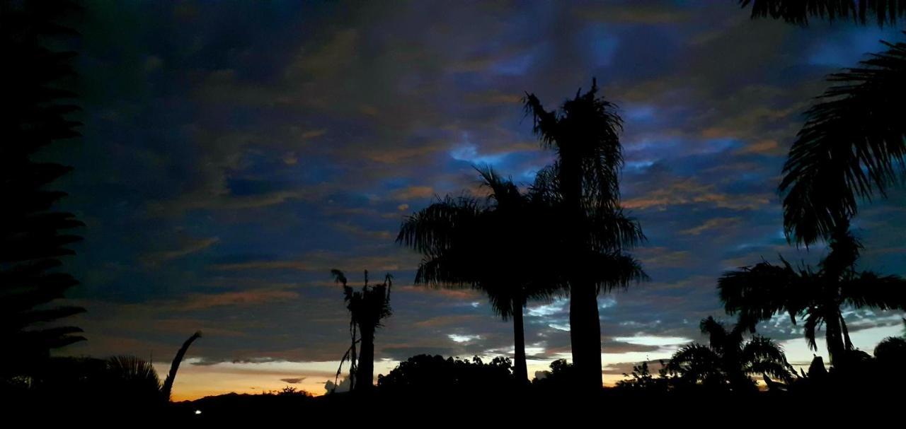 Finca Hotel La Quinta De Torrione Quimbaya Dış mekan fotoğraf